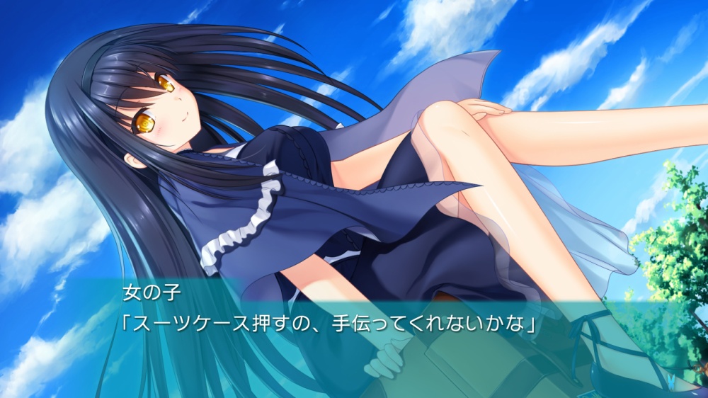 黒髪の女の子がスーツケースに座っている