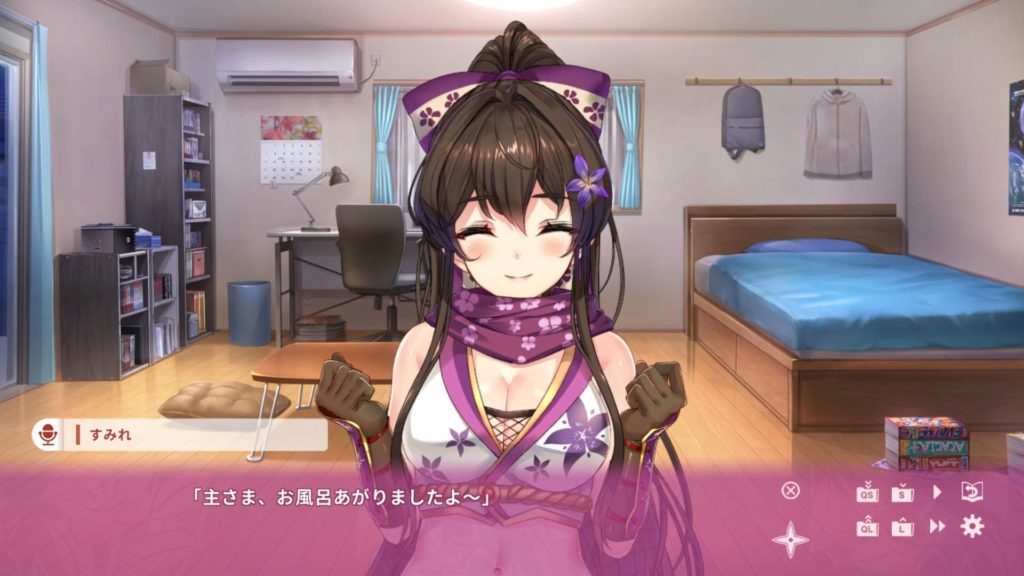 NinNinDaysのゲーム画面